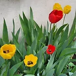 Chaleureux Avec Parking Gratuit Apartamento Vandoeuvre-lès-Nancy