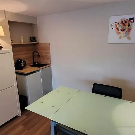 Chaleureux Avec Parking Et Recharge Ve Prives Apartment