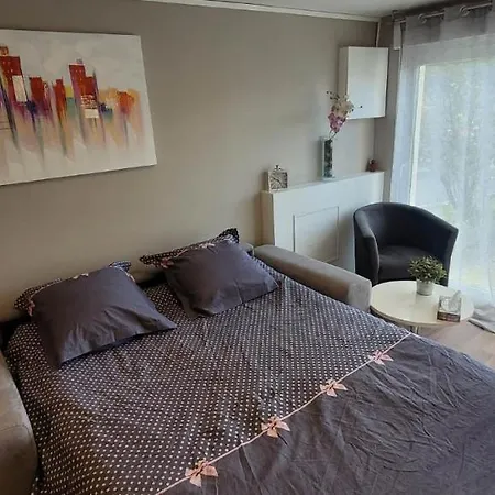 Apartment Chaleureux Avec Parking Et Recharge Ve Prives Vandoeuvre-lès-Nancy