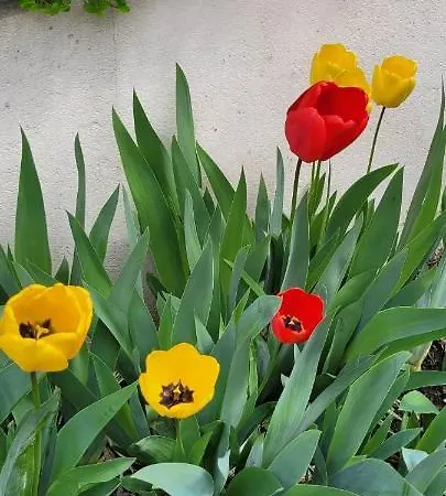 Chaleureux Avec Parking Gratuit Apartamento Vandoeuvre-lès-Nancy