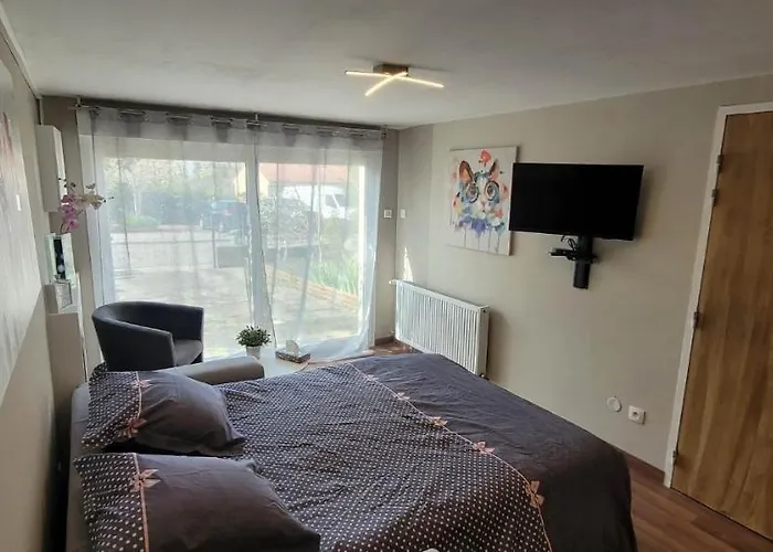 Chaleureux Avec Parking Gratuit Lejlighed *