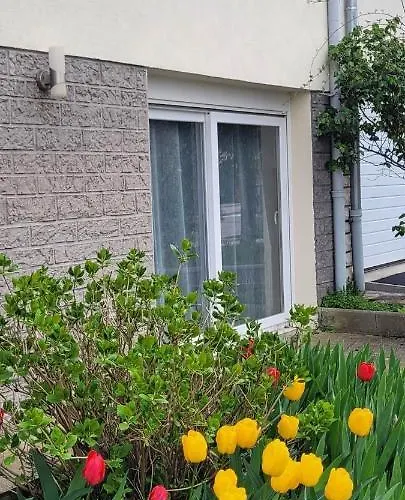 Daire Chaleureux Avec Parking Gratuit *